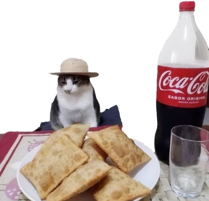 gato empanada